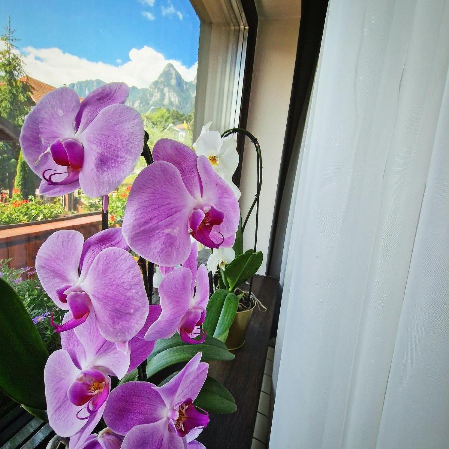 Amor Tirol Busteni (Adults Only) Exteriör bild