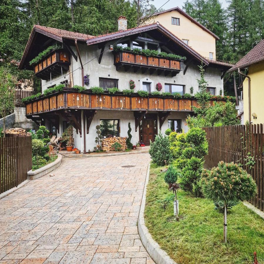 Amor Tirol Busteni (Adults Only) Exteriör bild