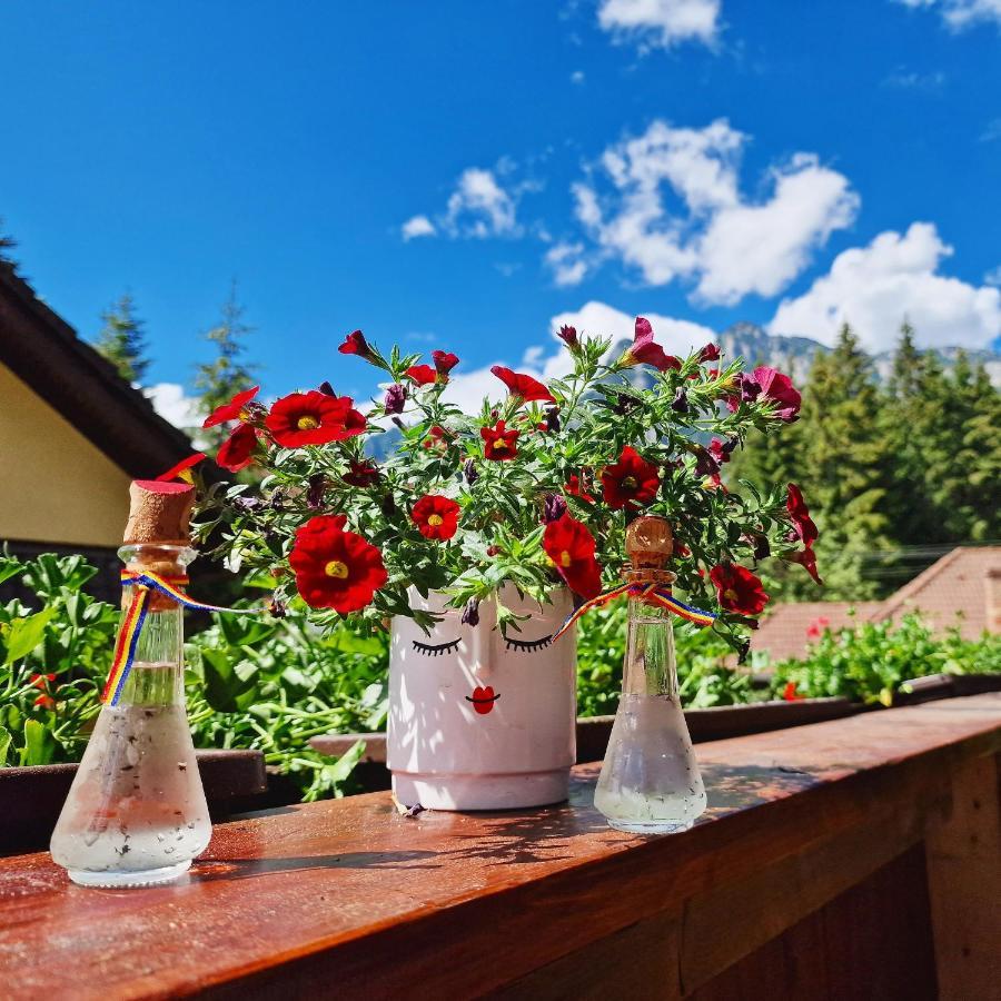 Amor Tirol Busteni (Adults Only) Exteriör bild