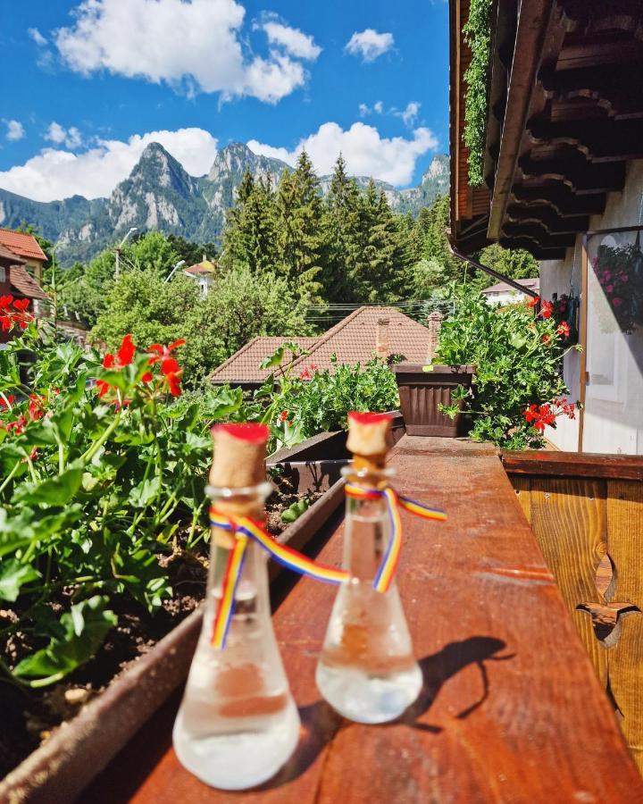 Amor Tirol Busteni (Adults Only) Exteriör bild