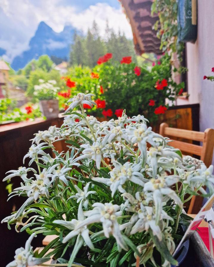 Amor Tirol Busteni (Adults Only) Exteriör bild