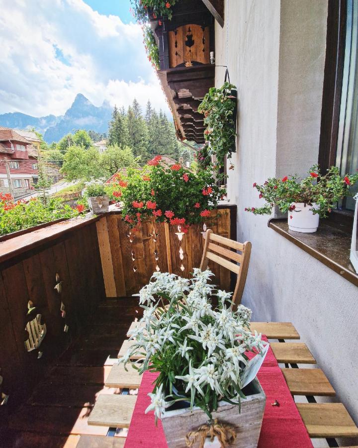 Amor Tirol Busteni (Adults Only) Exteriör bild
