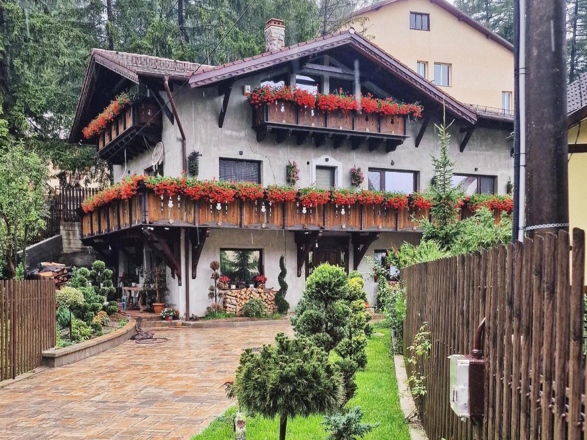 Amor Tirol Busteni (Adults Only) Exteriör bild