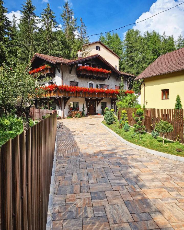 Amor Tirol Busteni (Adults Only) Exteriör bild