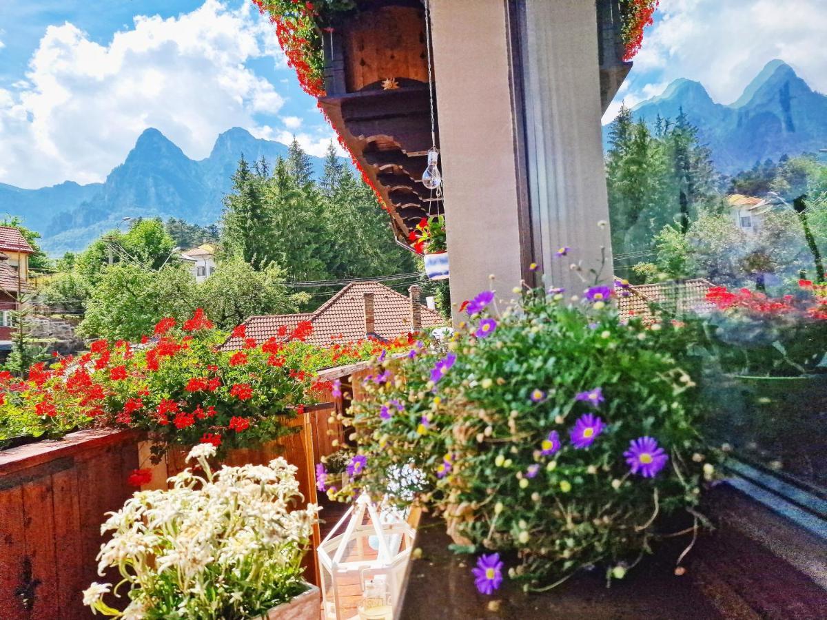Amor Tirol Busteni (Adults Only) Exteriör bild