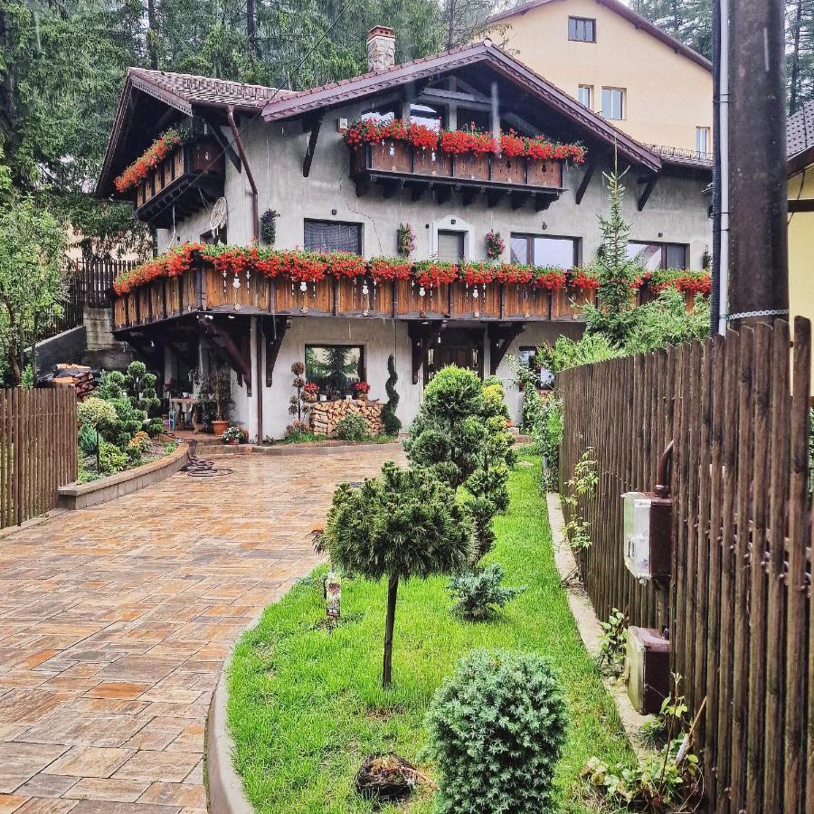 Amor Tirol Busteni (Adults Only) Exteriör bild
