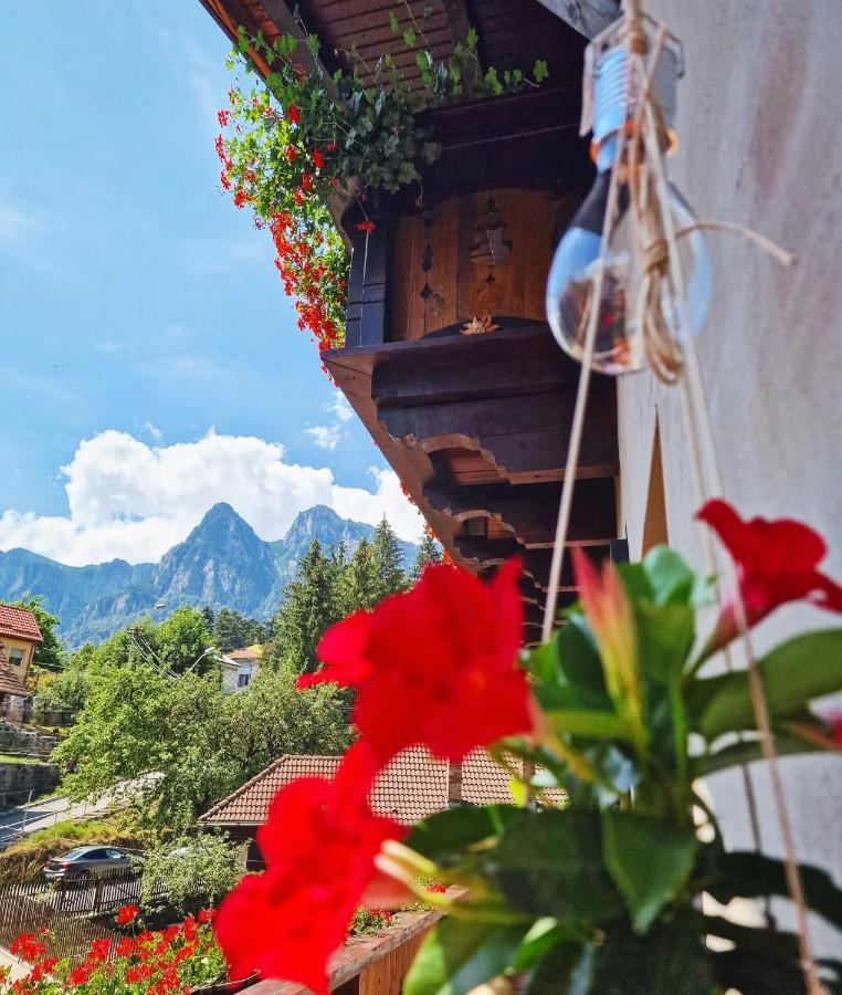 Amor Tirol Busteni (Adults Only) Exteriör bild