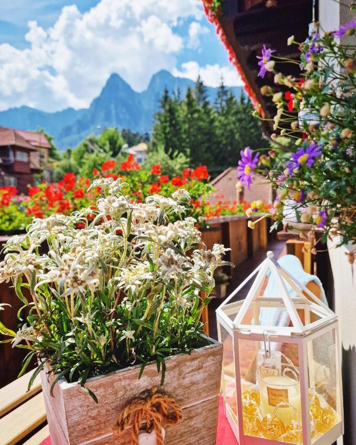 Amor Tirol Busteni (Adults Only) Exteriör bild