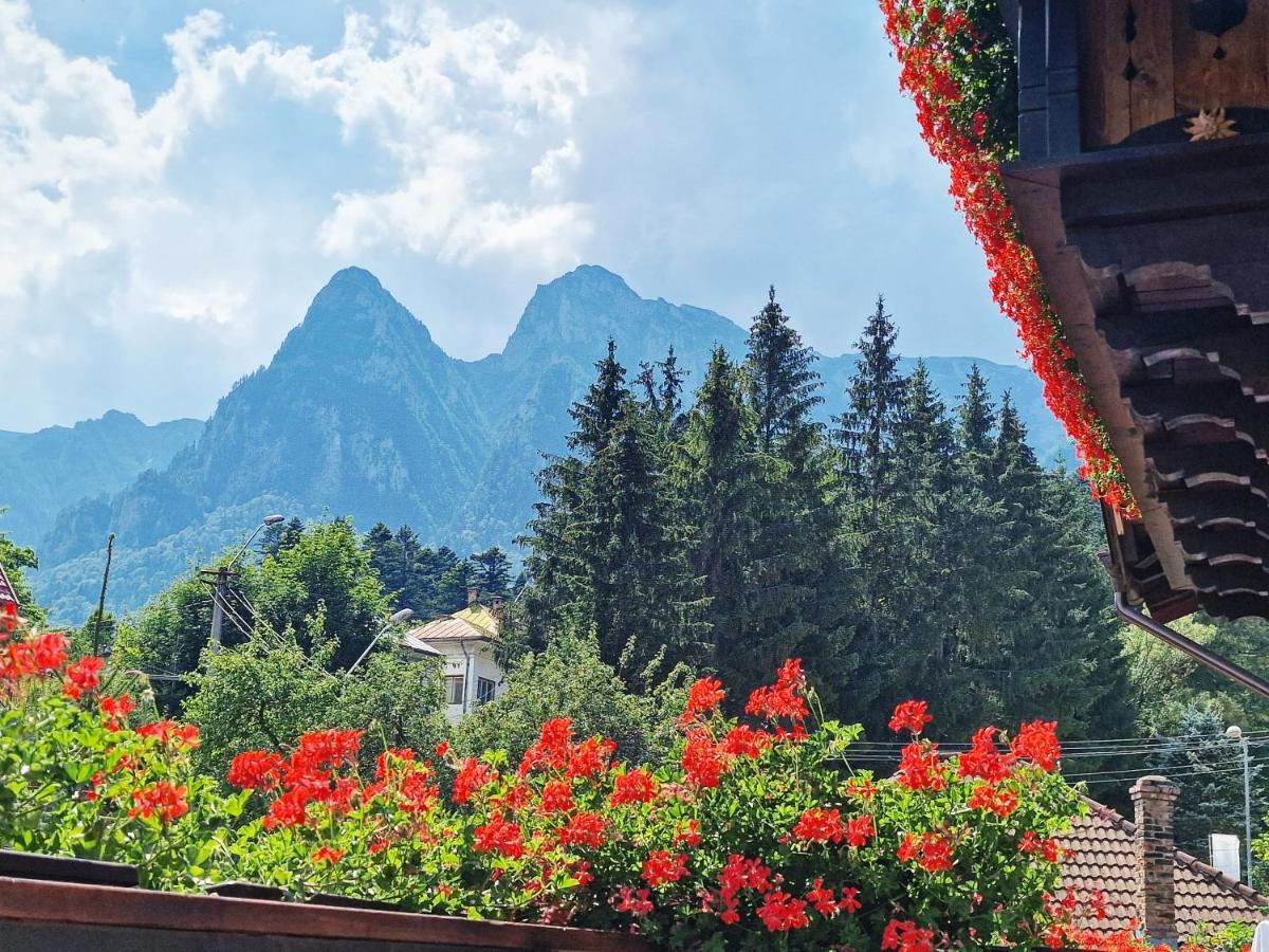 Amor Tirol Busteni (Adults Only) Exteriör bild