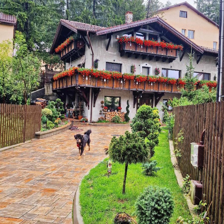 Amor Tirol Busteni (Adults Only) Exteriör bild