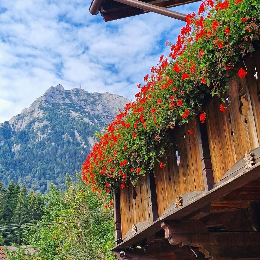 Amor Tirol Busteni (Adults Only) Exteriör bild