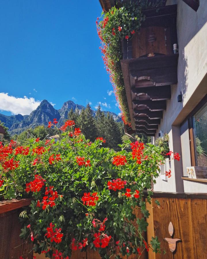 Amor Tirol Busteni (Adults Only) Exteriör bild