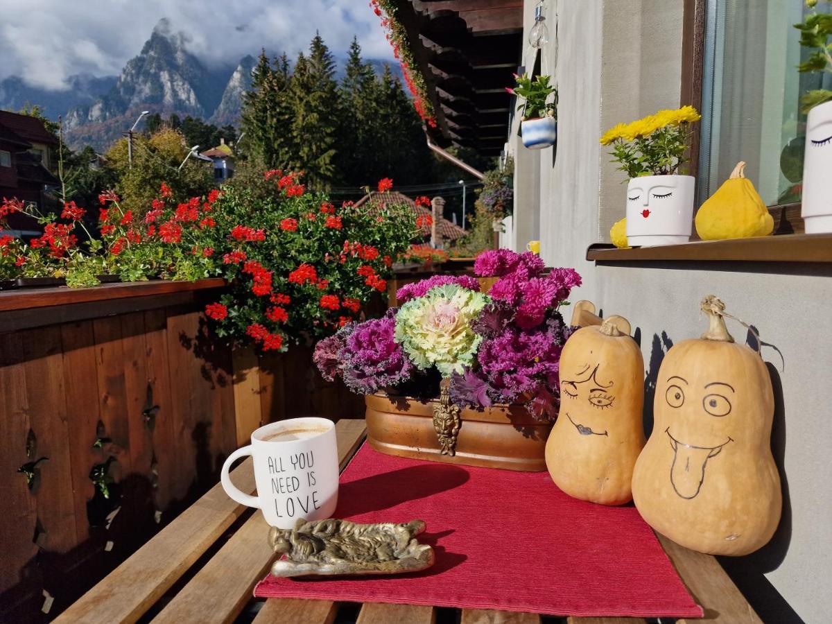 Amor Tirol Busteni (Adults Only) Exteriör bild