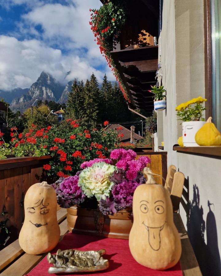 Amor Tirol Busteni (Adults Only) Exteriör bild